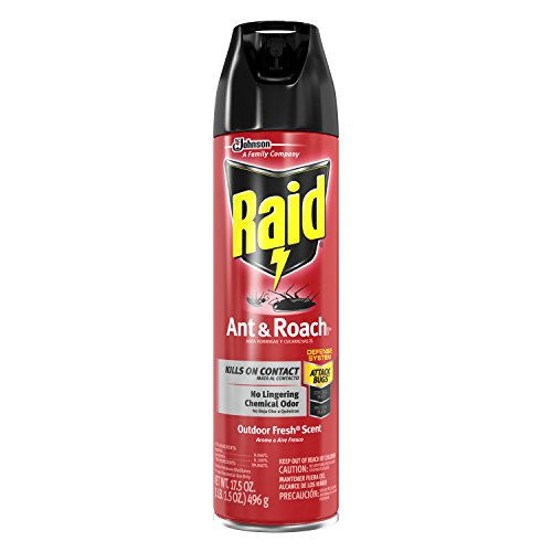 3653862 Raid Ant & Roach Killer, Outdoor Fresh Scent, 17.5 oz