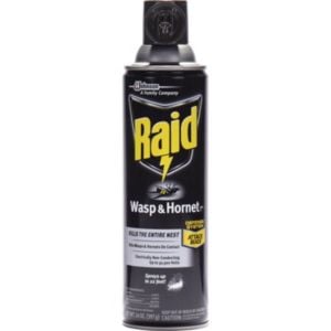 668006EA 14 oz Aerosol Wasp & Hornet Killer